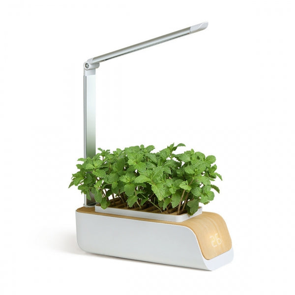 Huerto urbano interior | LED automática | Cultivo sin luz natural | Altura y ángulo ajustables | 4,5W | Mini-grow | Mobiclinic