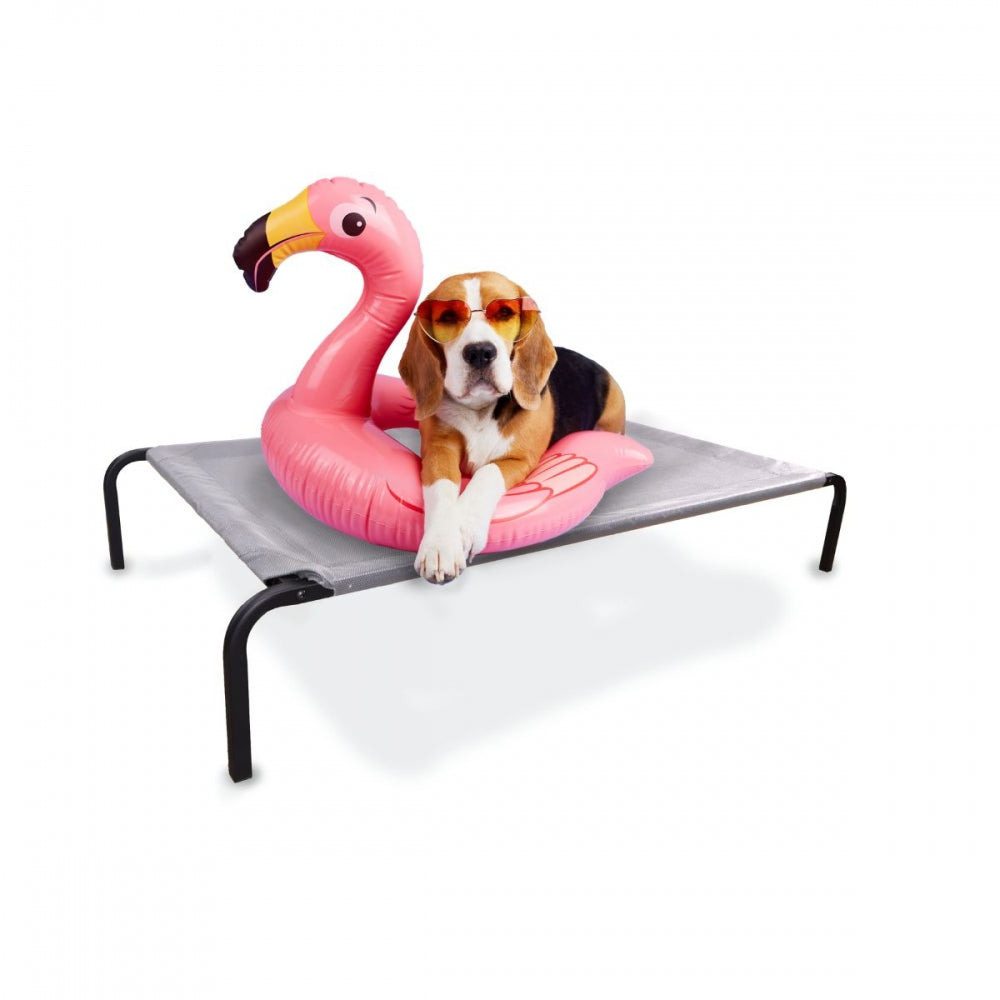 Camas Altas Cama Para Perro Pvc Cama Elevada Para Mascotas